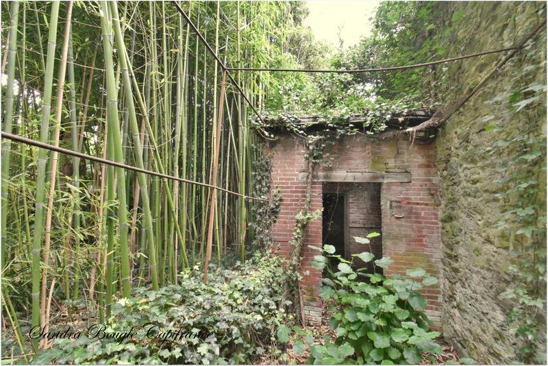 Maison de ville - 317 m² - 12 pièces