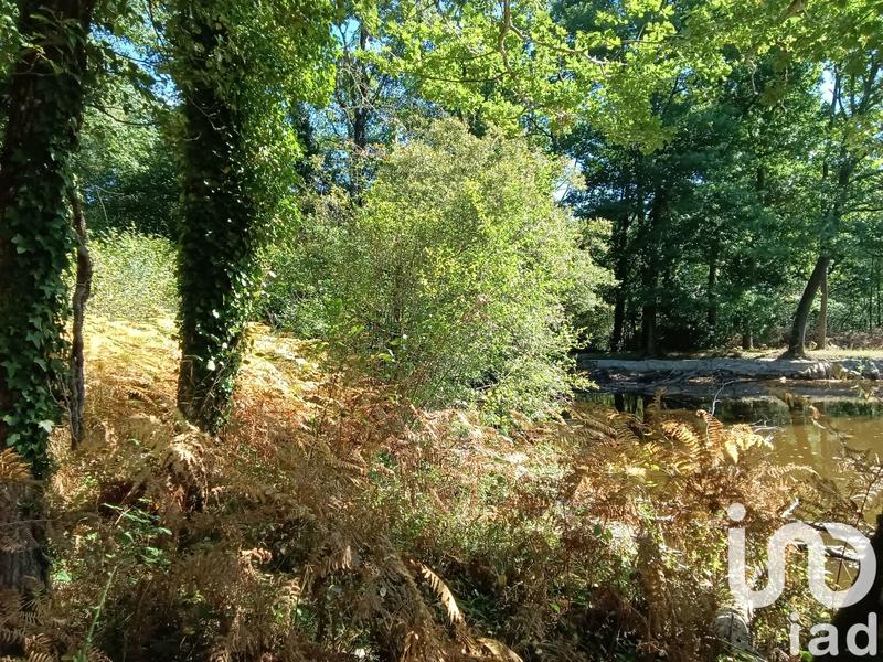 Terrain - 37 398 m²