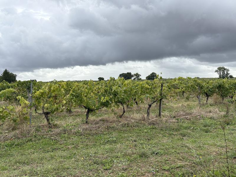 Maison - 180 m² - 7 pièces