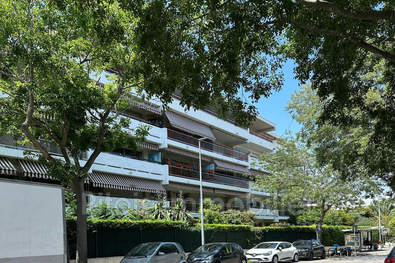 Appartement - 51 m² - 2 pièces