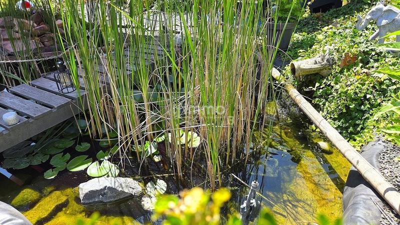 Maison d'architecte - 145 m² - 6 pièces