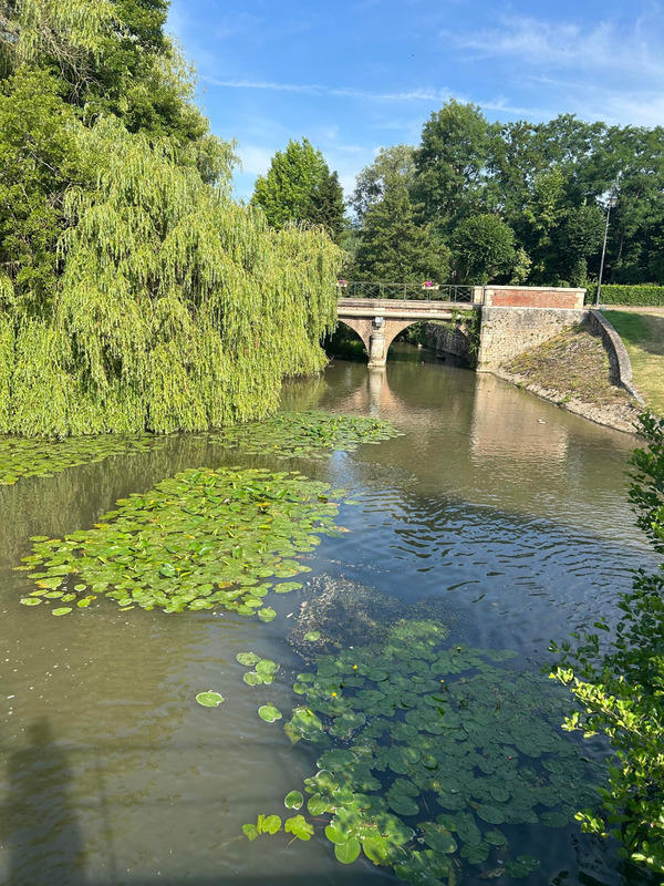 Appartement - 80 m² - 1 pièce