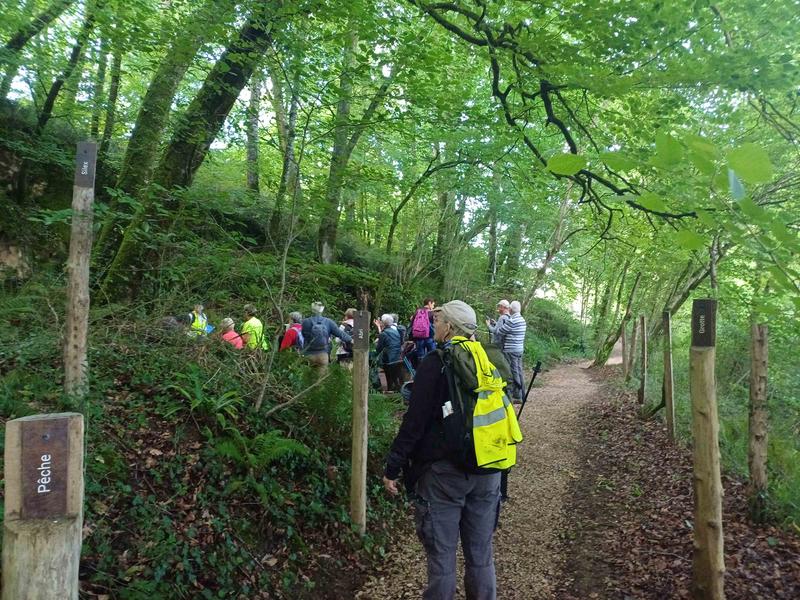 Visite du site archéologique des grottes du Pape - Randonnée