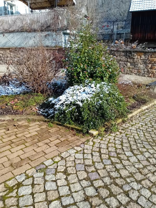 Maison de village - 169 m² - 6 pièces