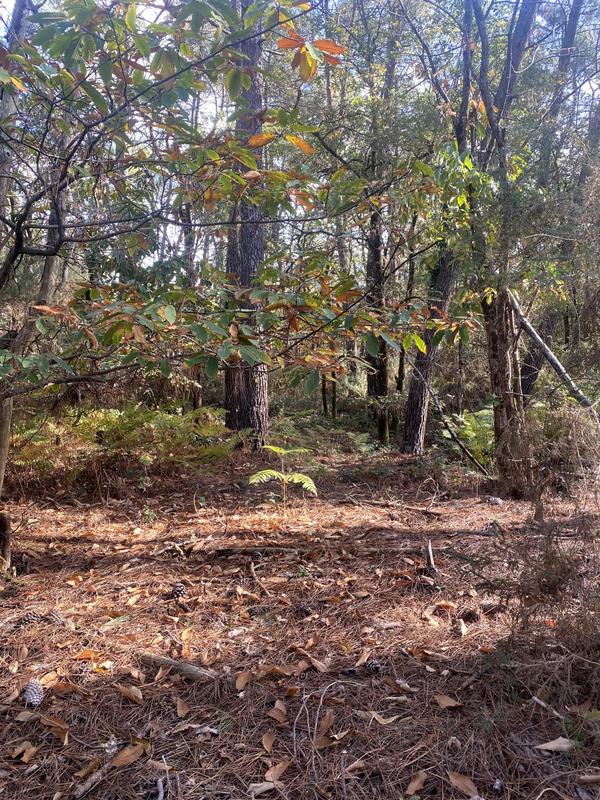 Terrain agricole - 2 890 m²