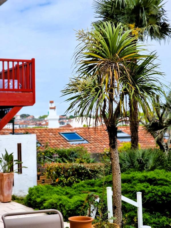 Appartement - 125 m² - 6 pièces