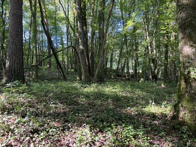 Terrain - 14 696 m²