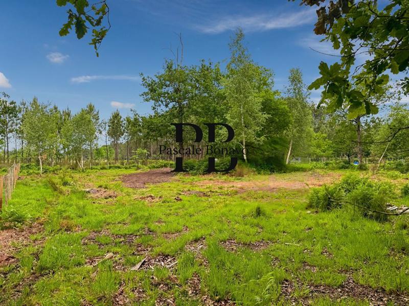 Terrain de loisirs - 2 327 m²