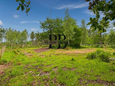 Terrain de loisirs - 2 327 m²