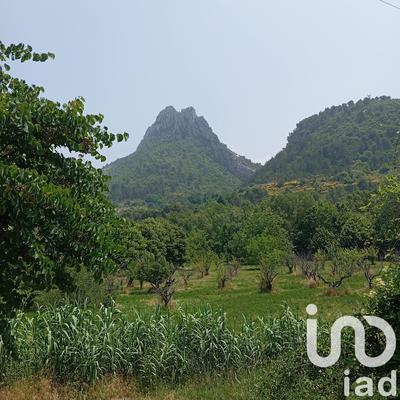 Terrain - 11 771 m²