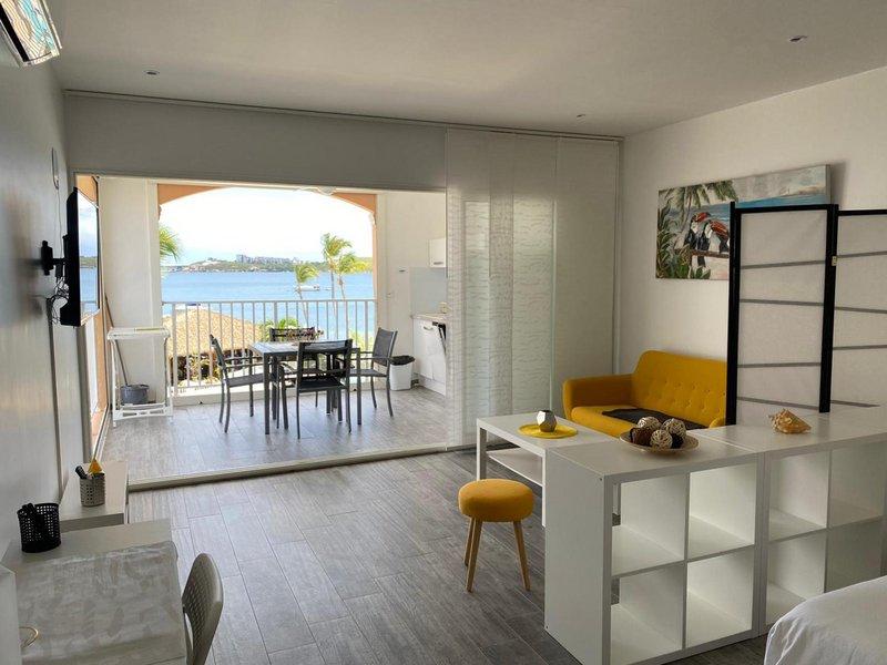 Loft - 44 m² - 1 pièce