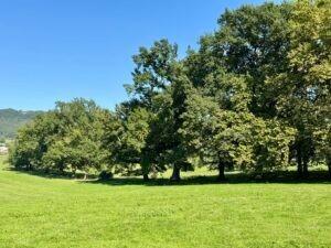 Manoir - 1 200 m² - 18 pièces