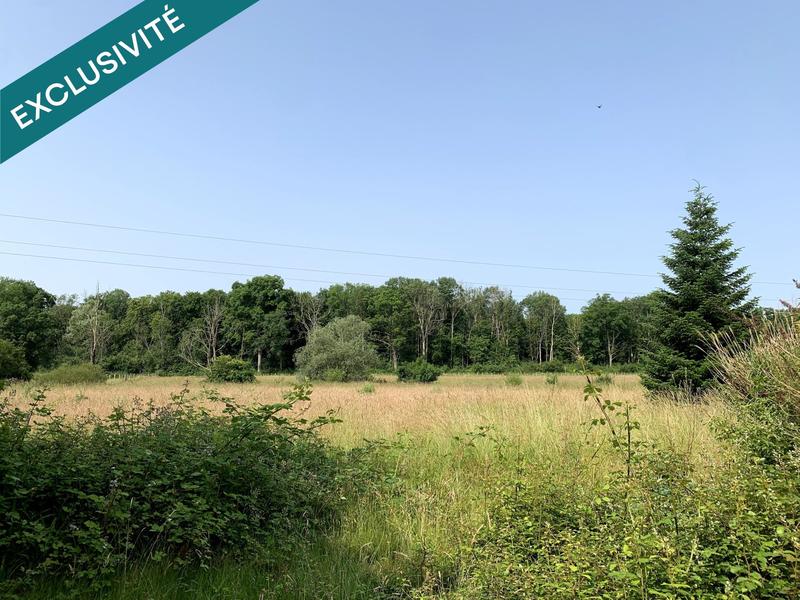 Maison - 290 m² - 11 pièces