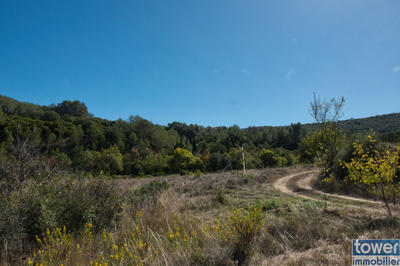 Terrain - 209 520 m²