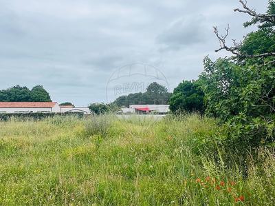 Terrain constructible - 1 206 m²