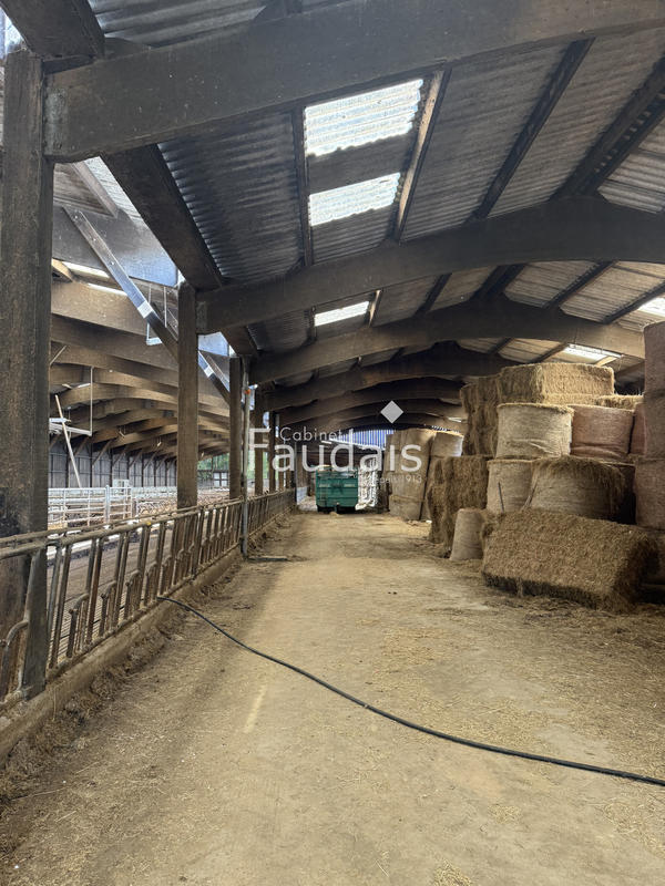 Propriété - 240 m² - 8 pièces