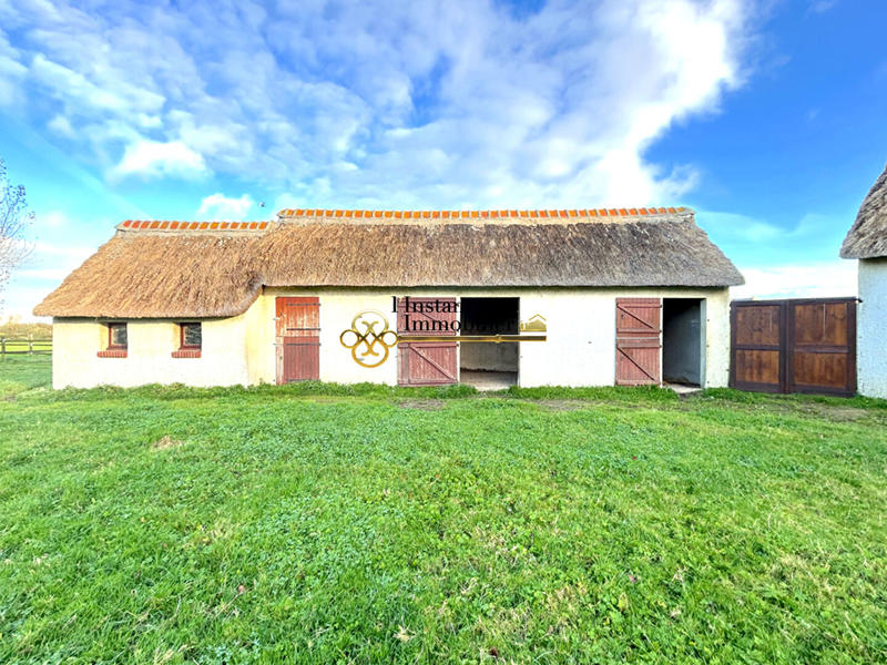 Demeure - 240 m² - 5 pièces