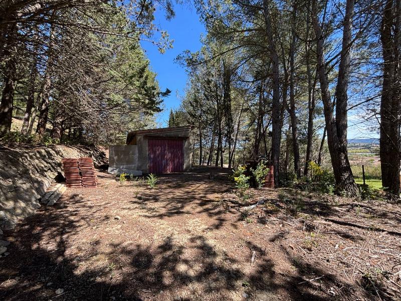 Terrain agricole - 13 051 m²