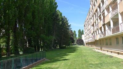 Studio - 30 m² - 1 pièce