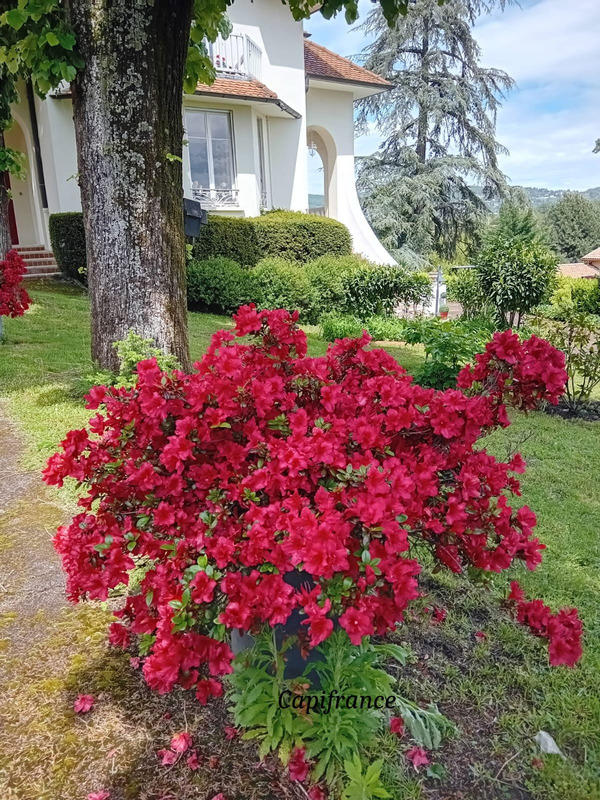 Maison bourgeoise - 230 m² - 8 pièces