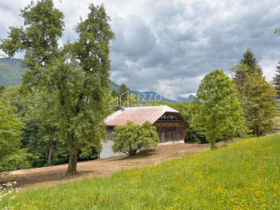 Maison - 400 m² - 4 pièces