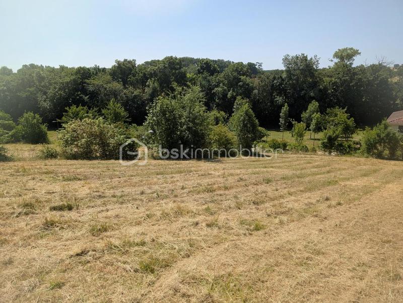 Terrain - 1 594 m²