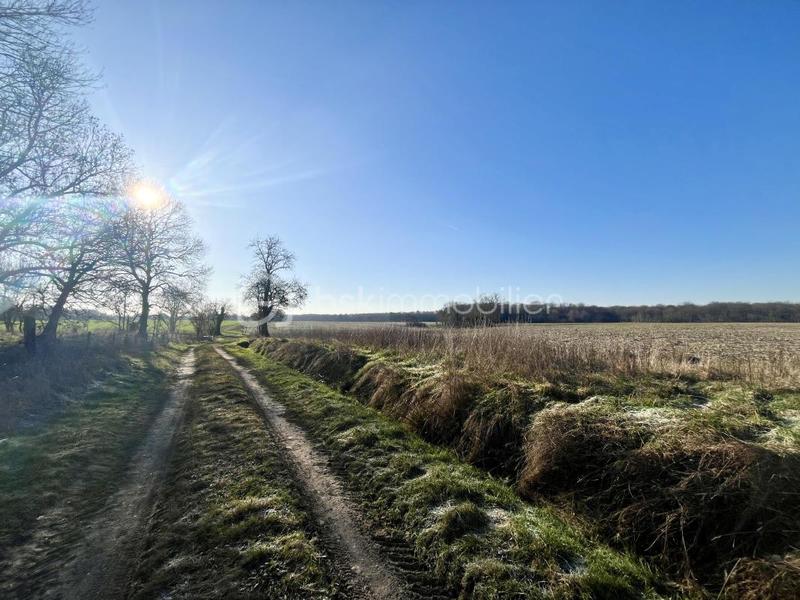 Corps de ferme - 65 m² - 3 pièces
