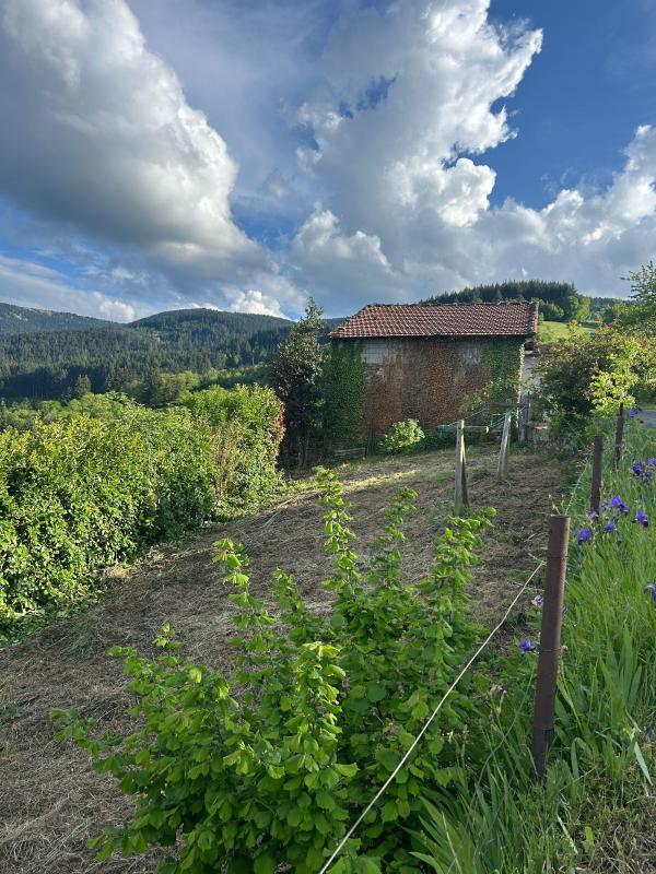 Maison - 77 m² - 3 pièces