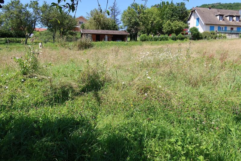 Terrain constructible - 982 m²