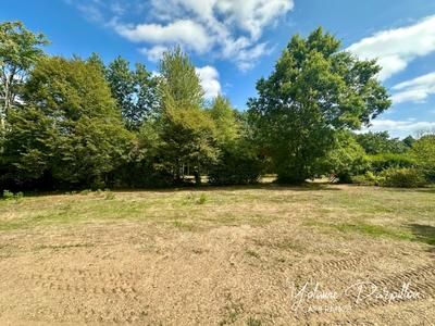 Terrain constructible - 1 259 m²