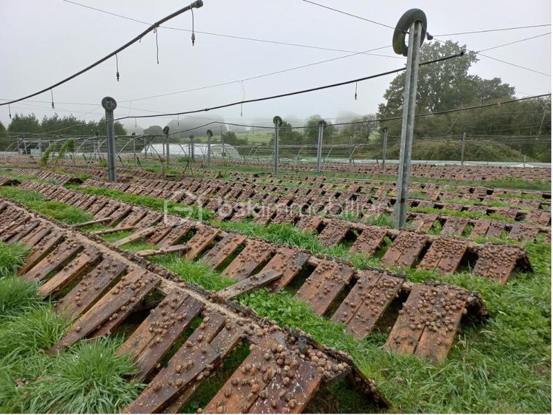 Bureau - 95 m² - 4 pièces