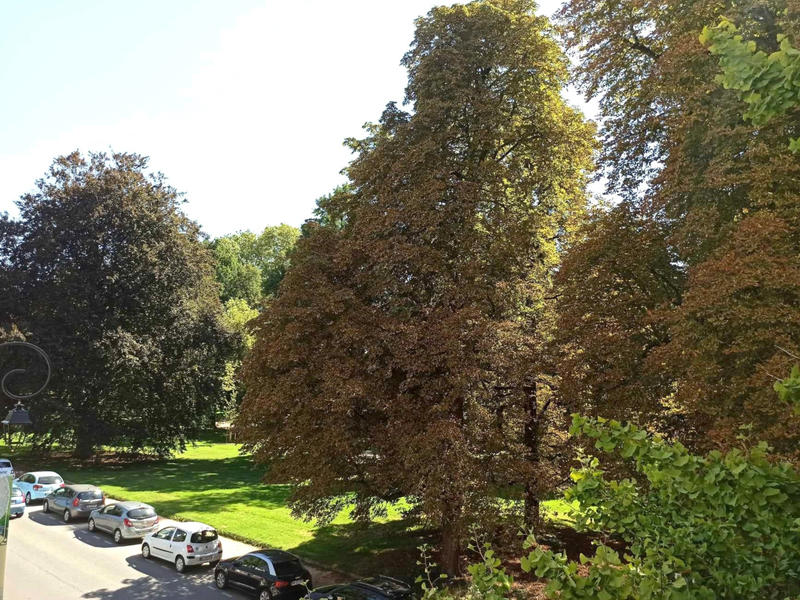 Appartement - 115 m² - 4 pièces