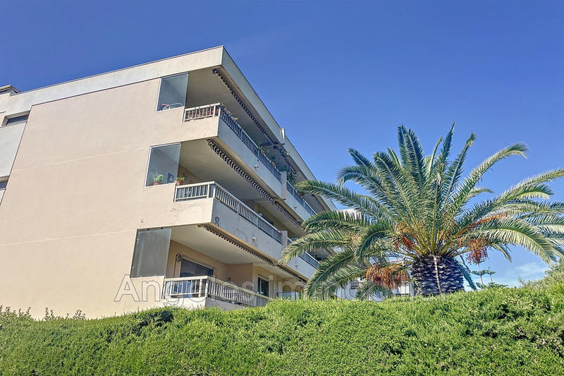 Studio - 33 m² - 1 pièce