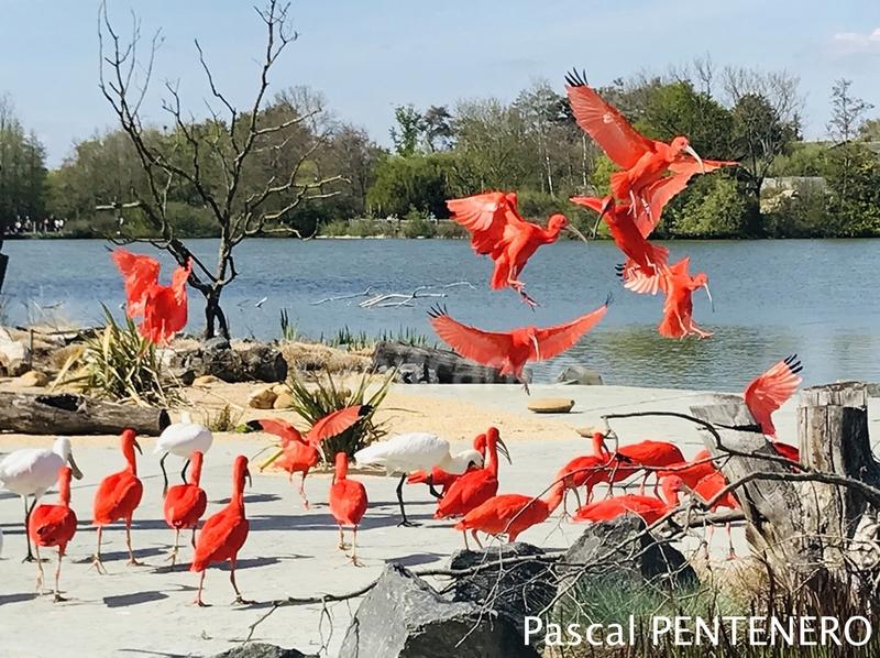 Appartement ancien - 63 m² - 3 pièces
