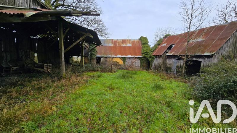 Ferme - 268 m² - 5 pièces