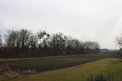 Maison - 162 m² - 5 pièces