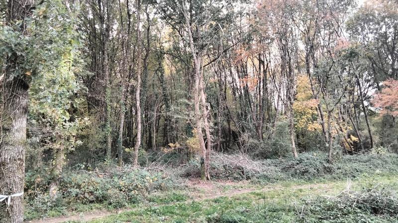 Terrain - 18 490 m²