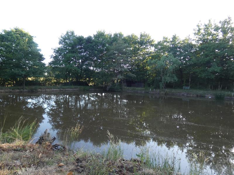 Terrain de loisirs - 11 460 m²