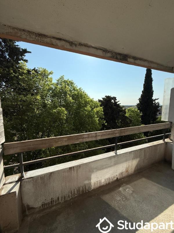 Appartement - 23 m² - 1 pièce