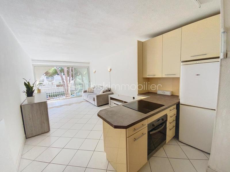 Appartement - 32 m² - 2 pièces