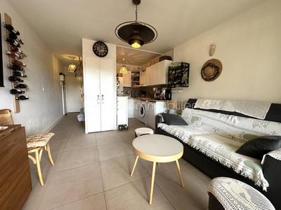 Studio - 23 m² - 1 pièce