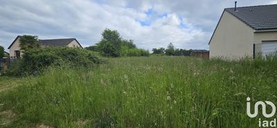 Maison de campagne - 90 m² - 5 pièces