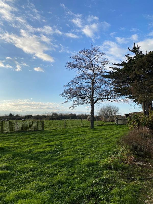 Maison - 214 m² - 4 pièces