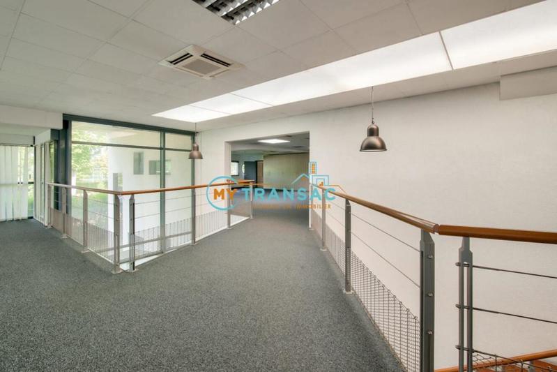 Local d'activité / Entrepôt - 3 384 m²