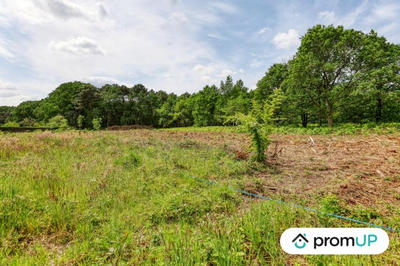 Terrain de loisirs - 4 000 m²