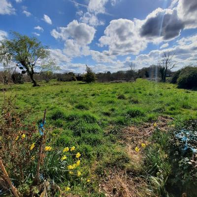 Maison - 143 m² - 6 pièces