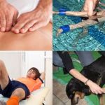 Benjamin Fonteix Ostéopathe Do