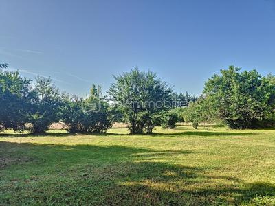 Maison en pierre - 280 m² - 10 pièces