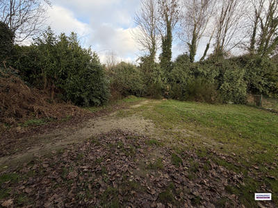 Local commercial - 150 m²