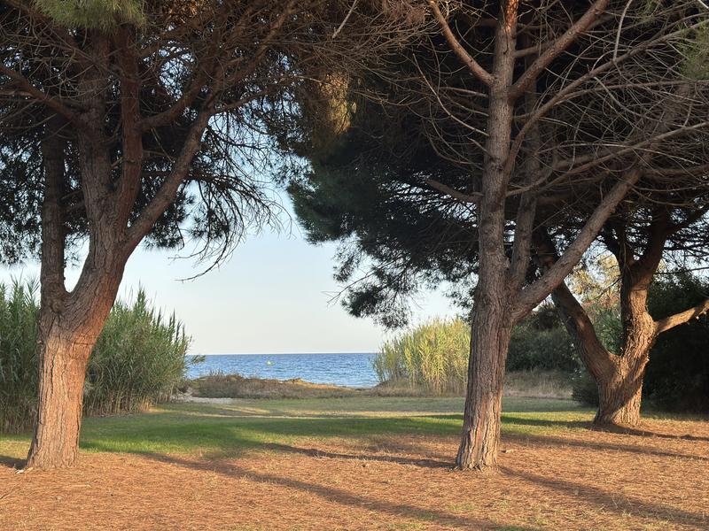 Appartement - 35 m² - 3 pièces